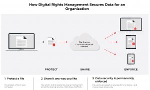 How Digital Rights Management Secures Data For An Organization